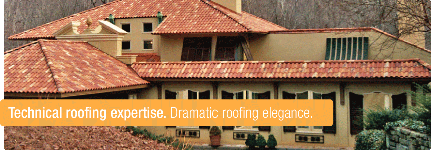 Technical roofing expertise. Dramatic roofing elegance.