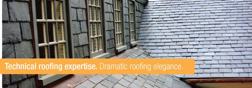 Technical roofing expertise. Dramatic roofing elegance.